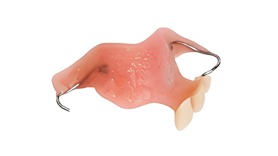 dental flipper